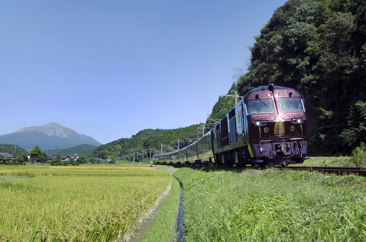Un treno che passa in mezzo alla natura in Giappone